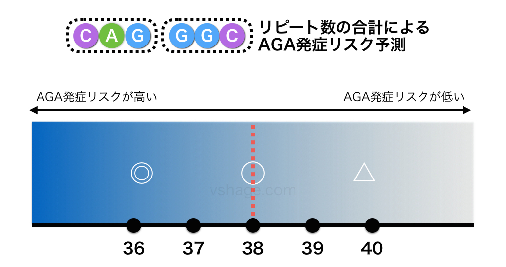 CAGリピート数とGGCリピート数の合計によるAGA発症リスク予測