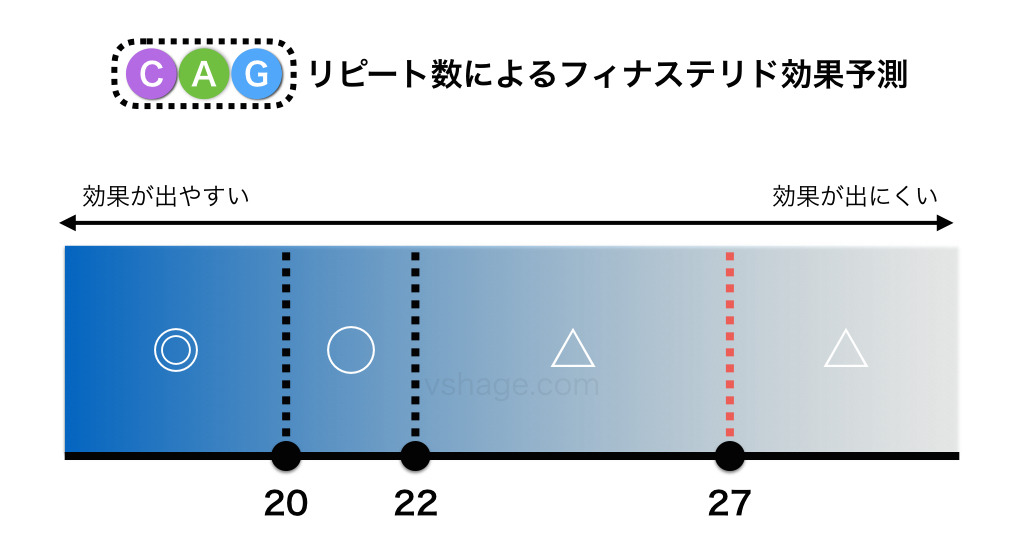 CAGリピート数によるフィナステリド効果予測