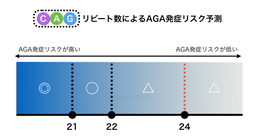 CAGリピート数によるAGA発症リスク予測